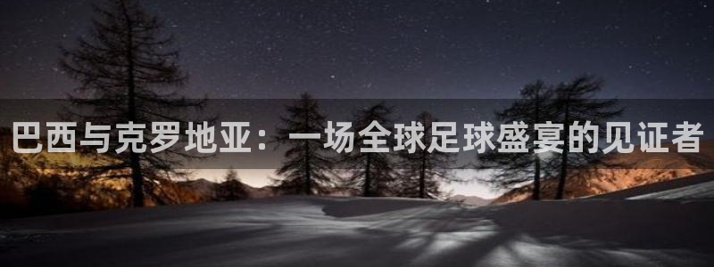 世界杯比赛：巴西与克罗地亚：一场全球足球盛宴的见证者