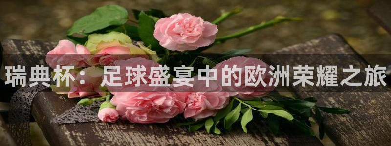 世界杯小组赛赛程：瑞典杯：足球盛宴中的欧洲荣耀之旅