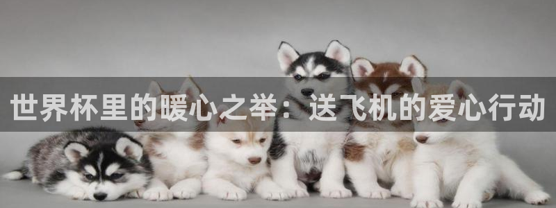 2026世预赛赛程表：世界杯里的暖心之举：送飞机的爱心行动