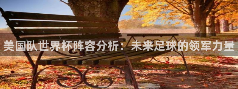 世界杯预选赛直播：美国队世界杯阵容分析：未来足球的领军力量