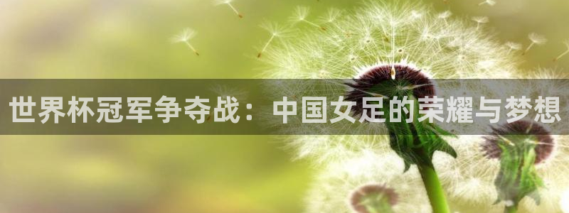 2026年世界杯：世界杯冠军争夺战：中国女足的荣耀与梦想