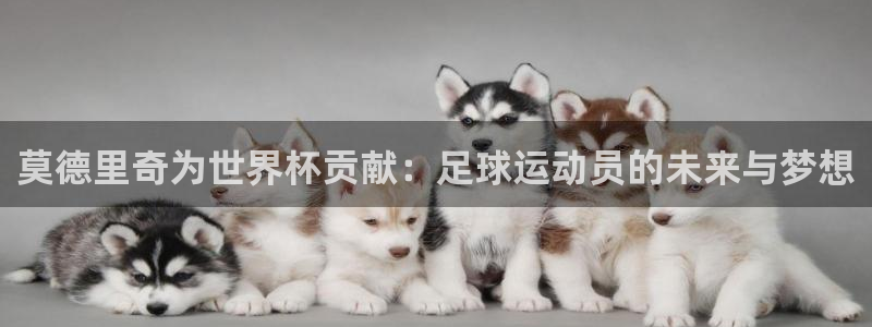 2026世界杯32强对阵图表：莫德里奇为世界杯贡献：足球运动员的未来与梦想