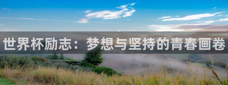 世界杯16强赛程表：世界杯励志：梦想与坚持的青春画卷