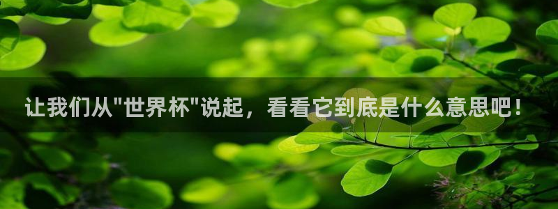 世界杯亚洲区预选赛赛程表：让我们从\