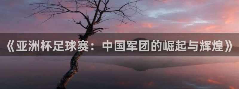 世界杯视频：《亚洲杯足球赛：中国军团的崛起与辉煌》