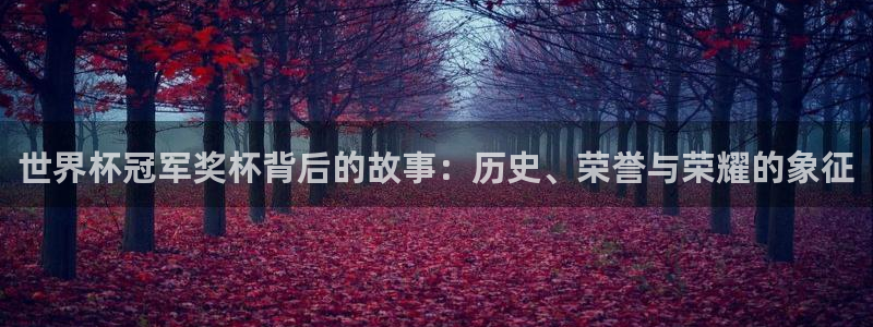 2026世界杯直播：世界杯冠军奖杯背后的故事：历史、荣誉与荣耀的象征