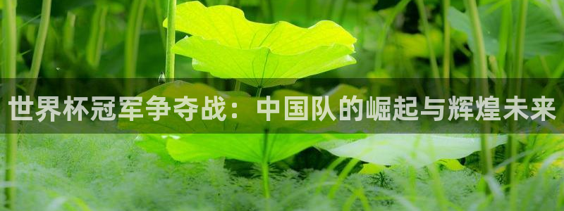 2026足球世界杯赛程：世界杯冠军争夺战：中国队的崛起与辉煌未来