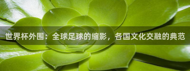 2026世界杯倒计时：世界杯外围：全球足球的缩影，各国文化交融的典范