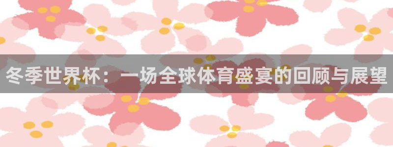 世界杯足球比赛：冬季世界杯：一场全球体育盛宴的回顾与展望
