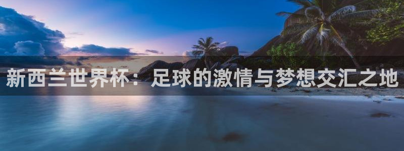 世界杯2026比赛时间表：新西兰世界杯：足球的激情与梦想交汇之地
