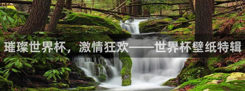 今年的世界杯：璀璨世界杯，激情狂欢——世界杯壁纸特辑