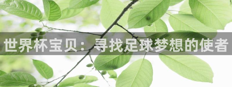 世界杯预选赛亚洲：世界杯宝贝：寻找足球梦想的使者
